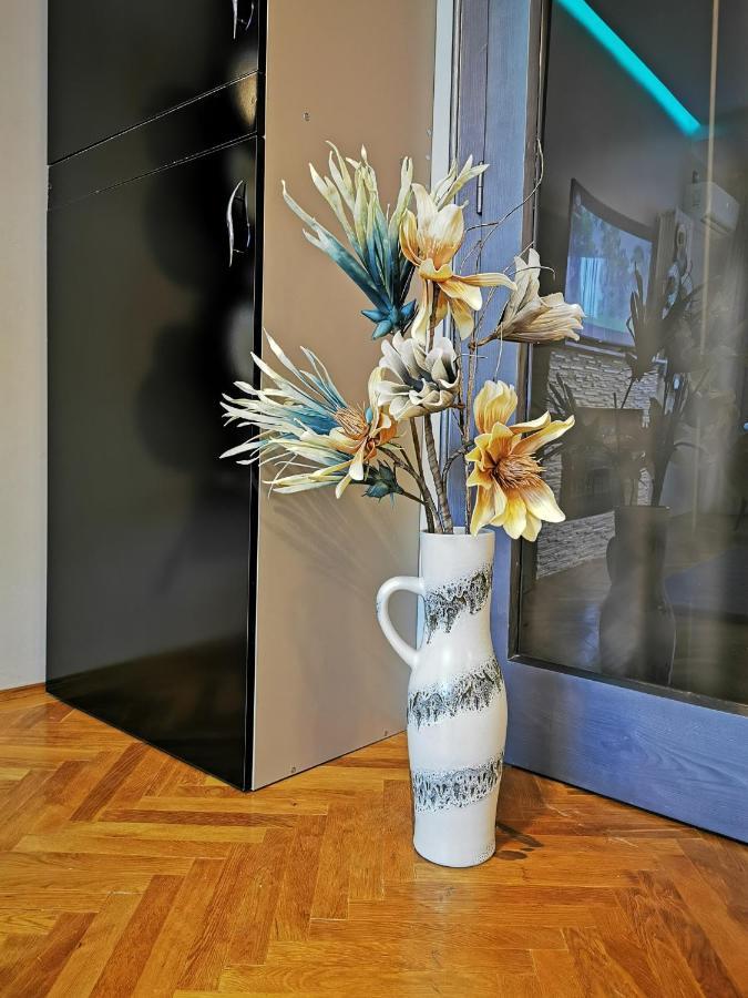 Crystal Central Apartment Braşov Extérieur photo